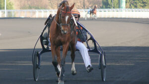 GNT 2005 : Finale GNT Vincennes